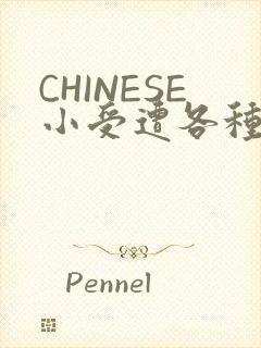 CHINESE小受遭各种打桩