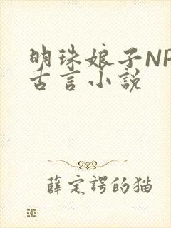 明珠娘子NPC古言小说