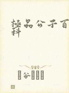 极品公子百度百科