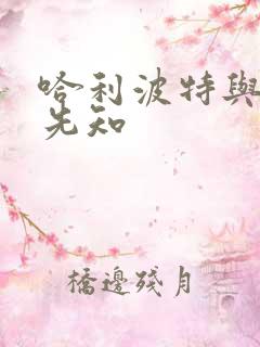 哈利波特与冒牌先知