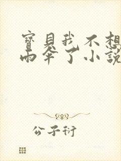 宝贝我不想带小雨伞了小说