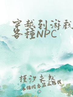 穿越到游戏里和各种NPC