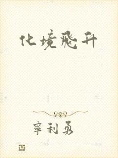 化境飞升