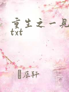 重生之一见倾心txt