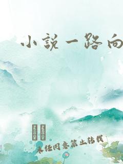 小说一路向西
