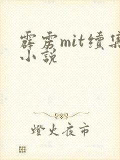霹雳mit续集小说