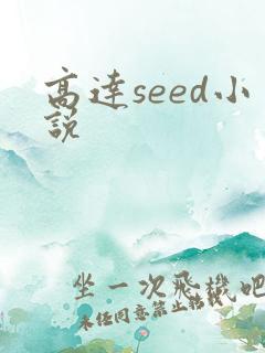 高达seed小说