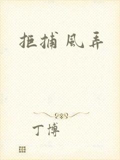 拒捕 风弄