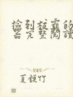 捡到校霸的控制器完整阅读