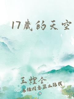 17岁的天空
