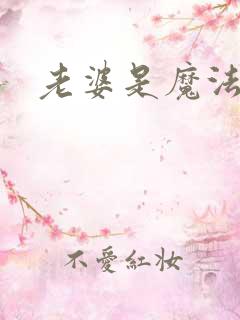 老婆是魔法少女