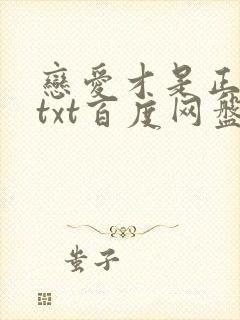 恋爱才是正经事txt百度网盘