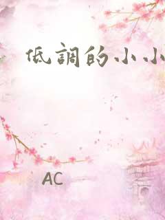 低调的小小宫女