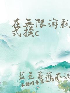 在无限游戏里花式挨c