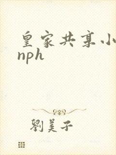 皇家共享小公主nph