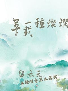 另一种灿烂生活下载