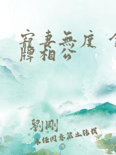 宠妻无度  金牌相公