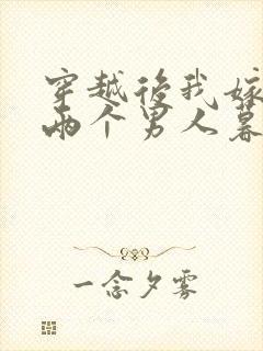 穿越后我嫁给了两个男人暮色酒歌