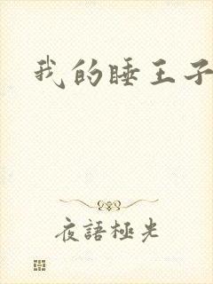 我的睡王子殿下