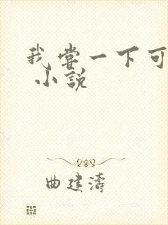 我尝一下可以吗 小说