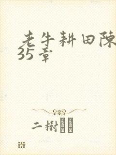 老牛耕田陈雪435章