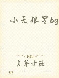 小天狼星bg