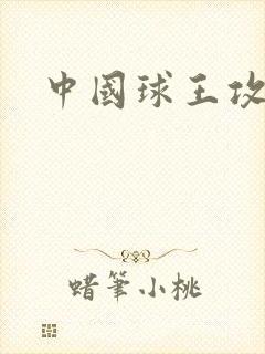 中国球王攻略