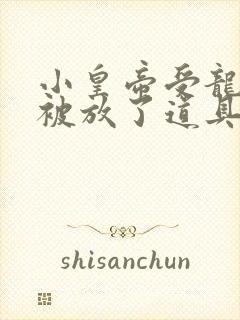 小皇帝受龙椅上被放了道具