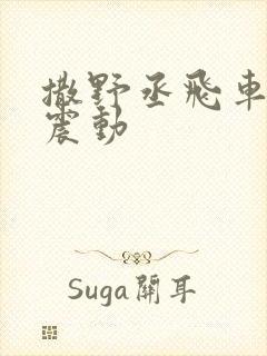 撒野丞飞车道具震动