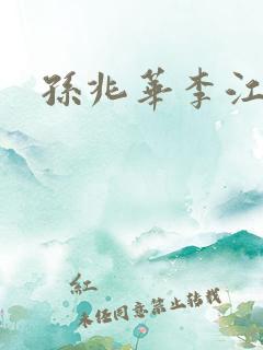 孙兆华李江小说