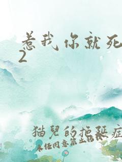 惹我你就死定了2