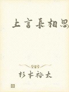 上言长相思
