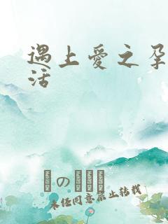 遇上爱之孕夫生活