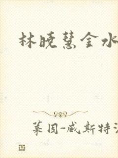 林晓慧金水全文