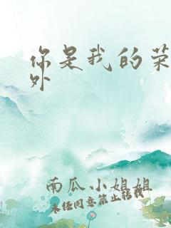 你是我的荣耀番外