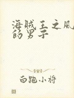 海贼王之风一样的男子