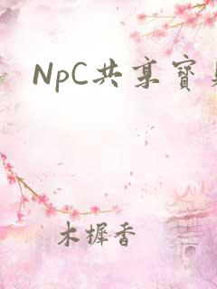 NpC共享宝贝