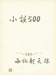 小说500