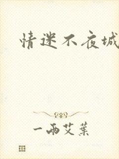 情迷不夜城