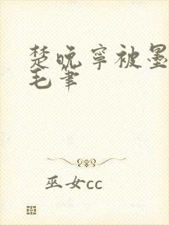 楚晚宁被墨燃塞毛笔