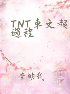 TNT车文超细过程