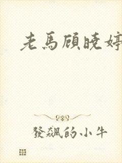 老马顾晓婷小说