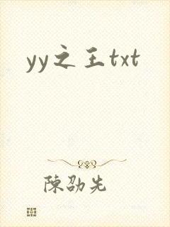 yy之王txt