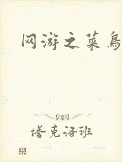 网游之菜鸟江湖