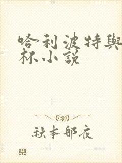 哈利波特与火焰杯小说