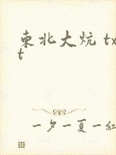 东北大炕 txt