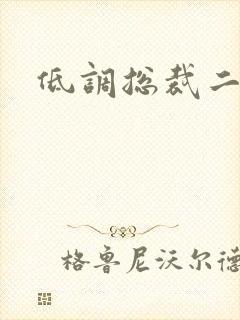 低调总裁二手妻