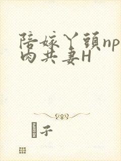 陪嫁丫头np全肉共妻H