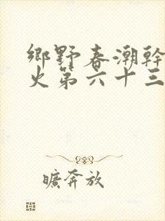 乡野春潮干柴烈火第六十三章