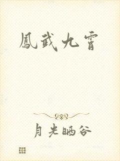 凤武九霄